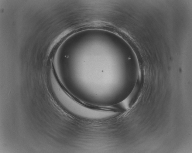 X0000066101410200603101130
