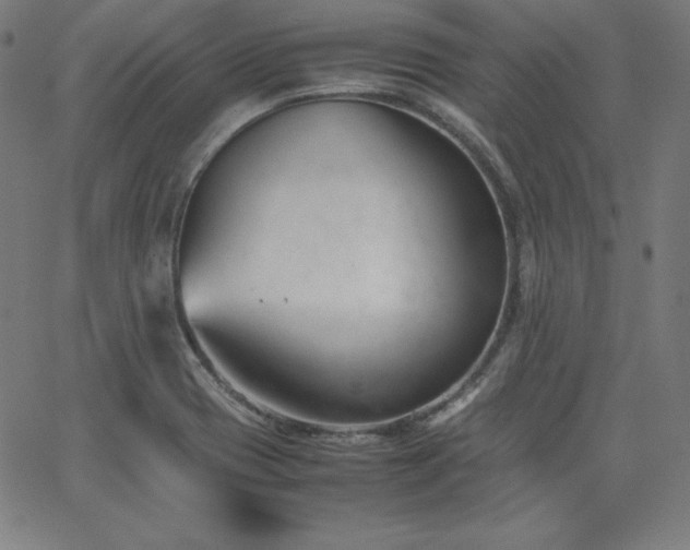 X0000066101417200603101130