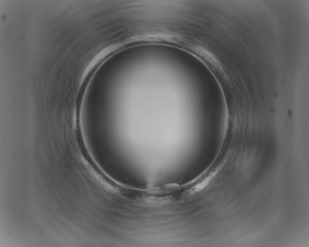 X0000066101420200603101130