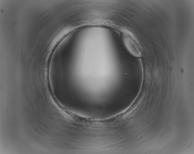 X0000066101424200603101130