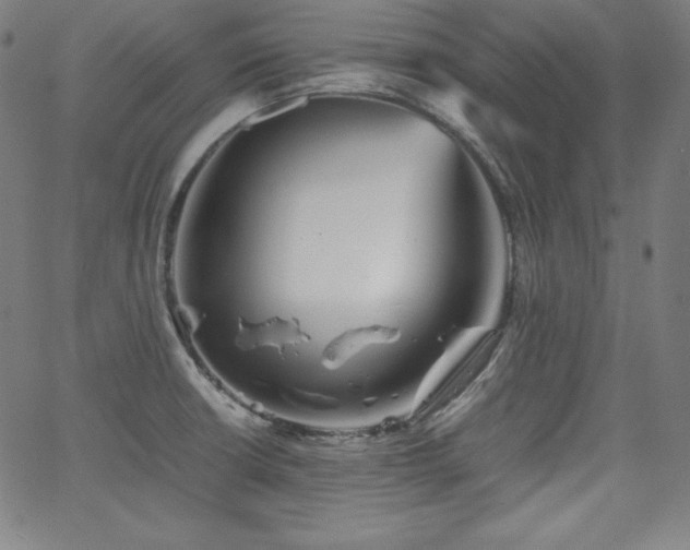 X0000066101426200603101130