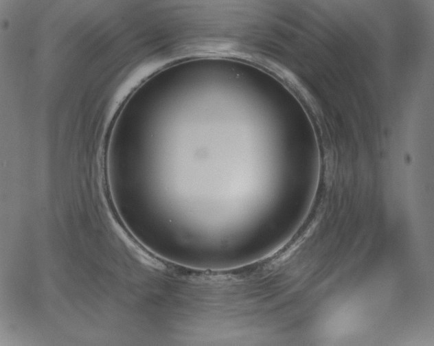 X0000066101432200603101130