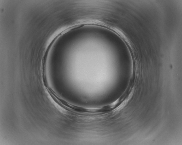 X0000066101438200603101130