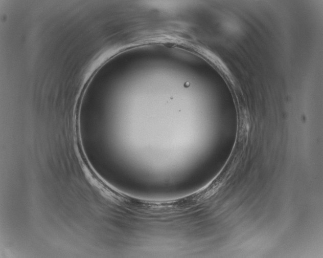 X0000066101439200603101130