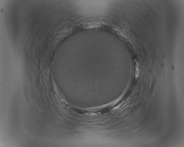 X0000066101441200603101129