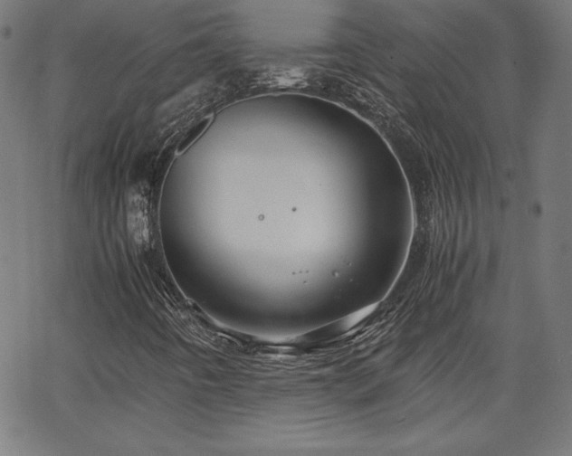 X0000066101442200603101129