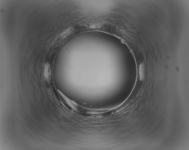 X0000066101443200603101129