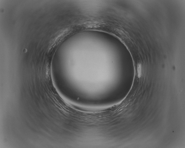 X0000066101444200603101129
