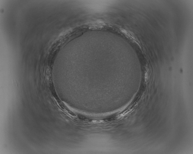 X0000066101445200603101129