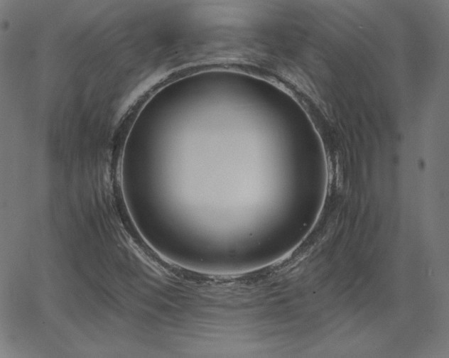 X0000066101452200603101129