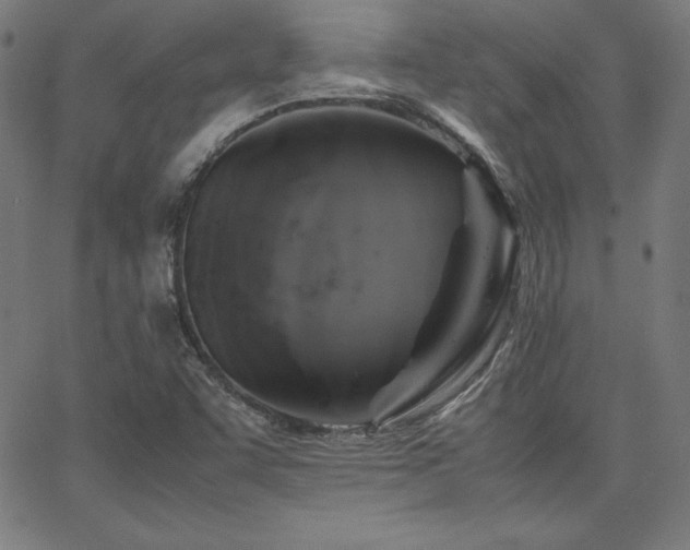 X0000066101455200603101129