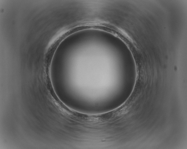 X0000066101456200603101129