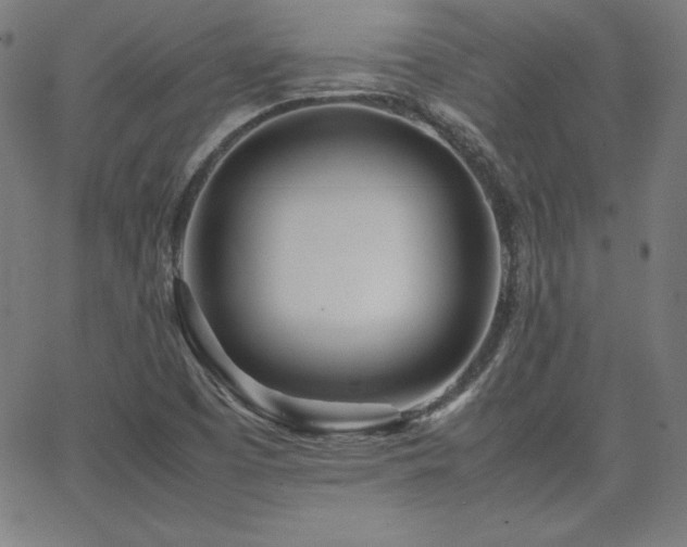 X0000066101457200603101129