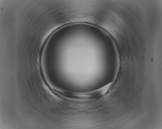 X0000066101468200603101129
