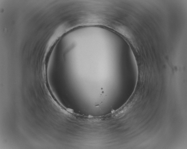 X0000066101472200603101129
