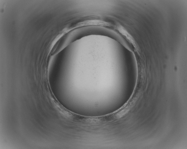 X0000066101473200603101129