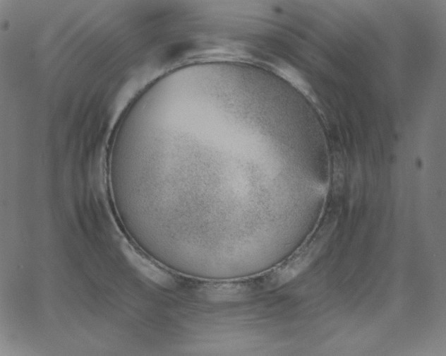 X0000066101474200603101129