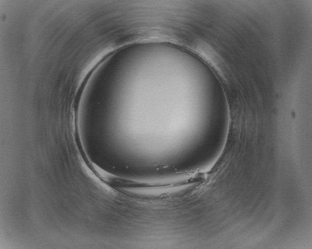 X0000066101476200603101129