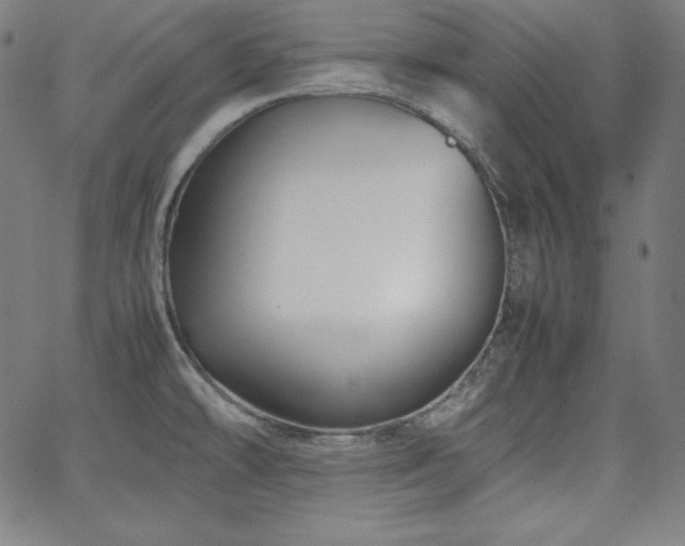 X0000066101478200603101129