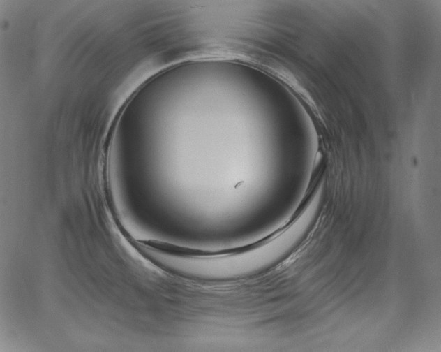 X0000066101484200603101129