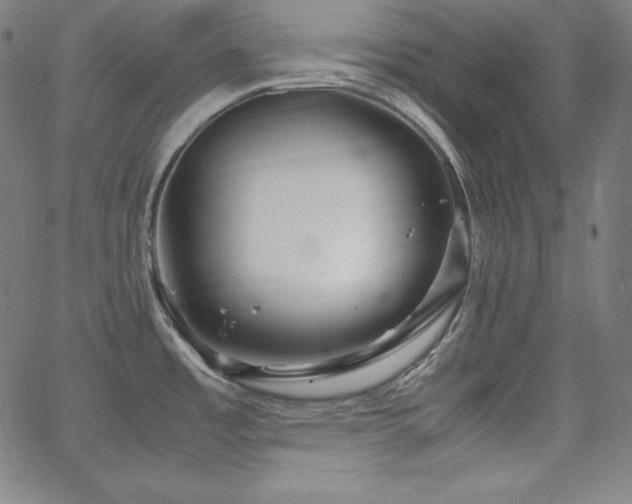X0000066101485200603101129