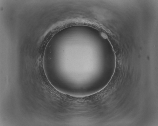X0000066101495200603101128