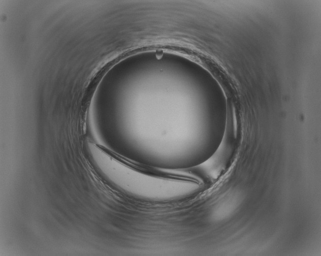 X0000066101497200603101128