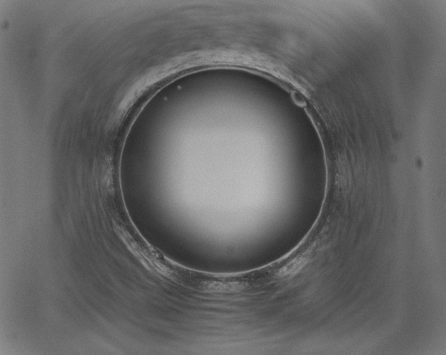 X0000066101499200603101128