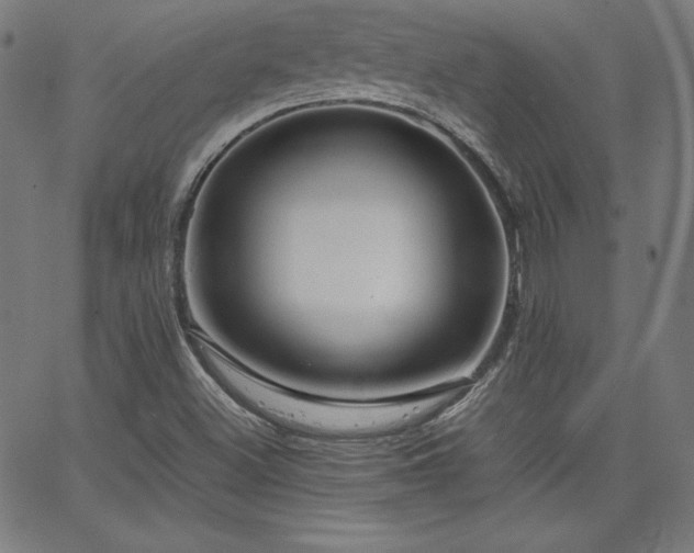 X0000066101500200603101128