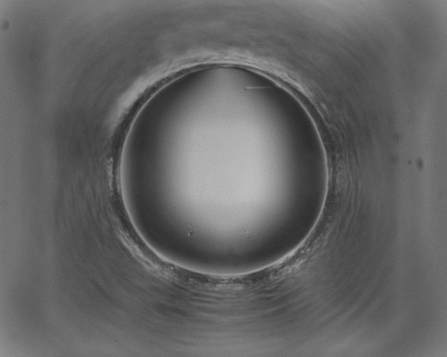 X0000066101503200603101128