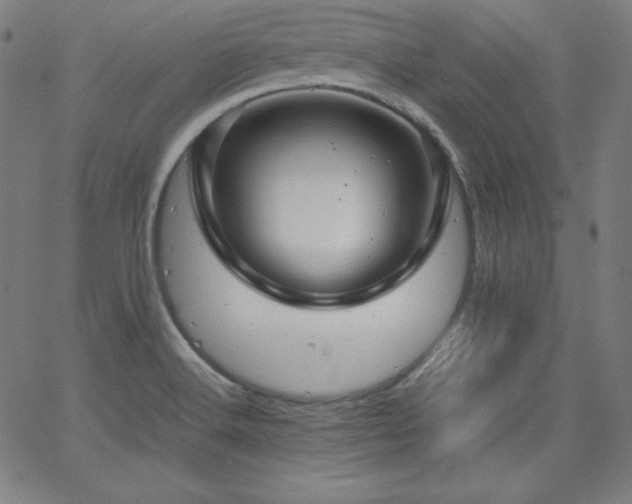 X0000066101516200603101128