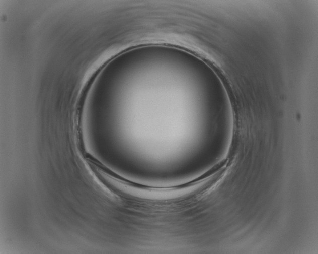 X0000066101517200603101128