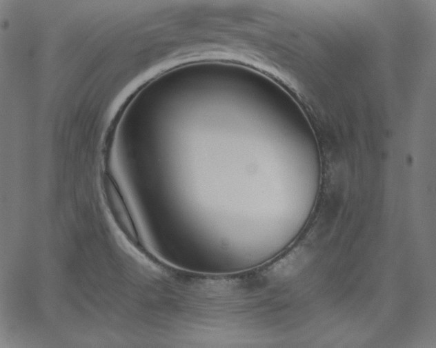 X0000066101518200603101128