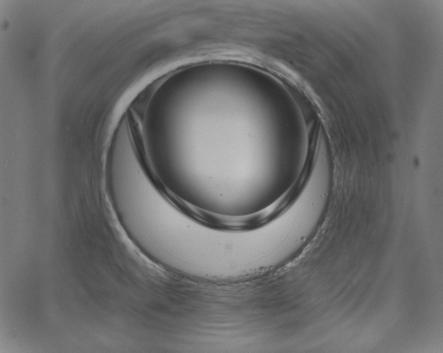 X0000066101520200603101128