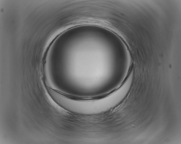 X0000066101531200603101128