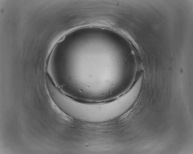 X0000066101532200603101128