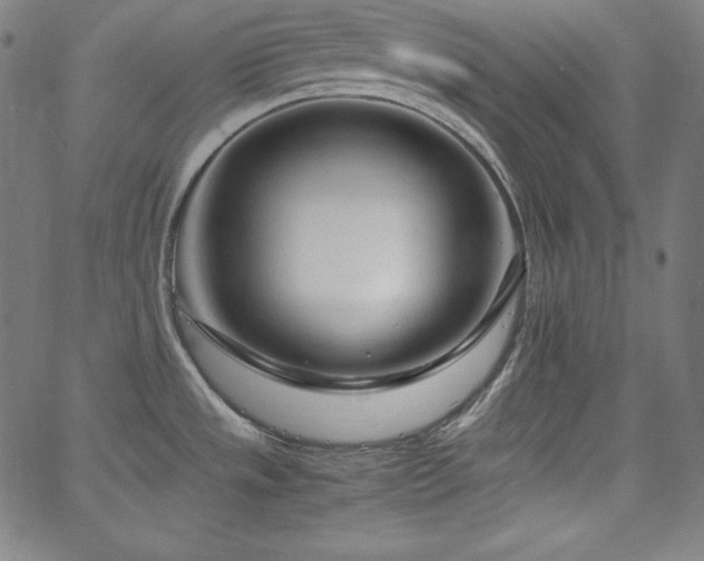 X0000066101533200603101128