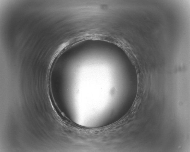 X0000066100003200603131242