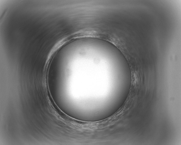 X0000066100004200603131242