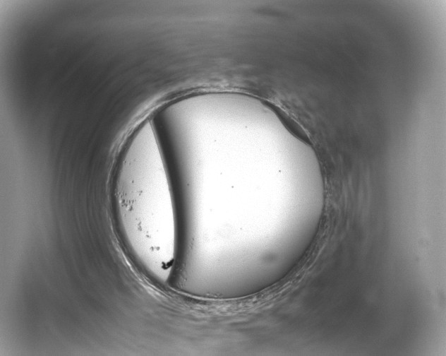 X0000066100005200603131242