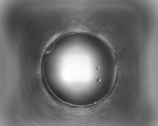 X0000066100008200603131242