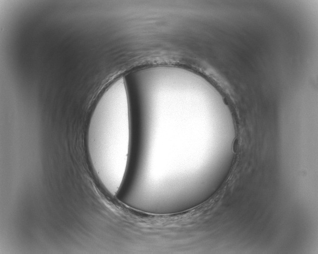 X0000066100009200603131242