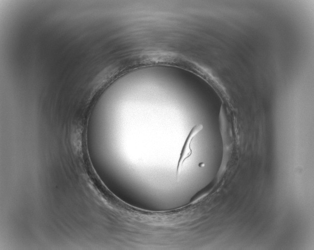 X0000066100010200603131242