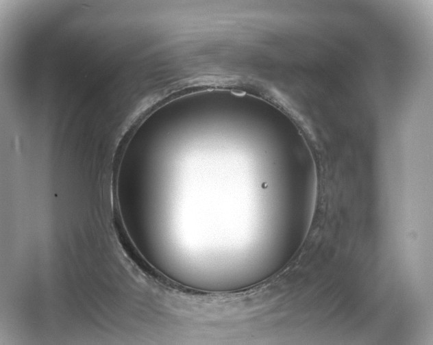 X0000066100011200603131242