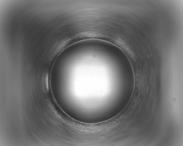 X0000066100014200603131242