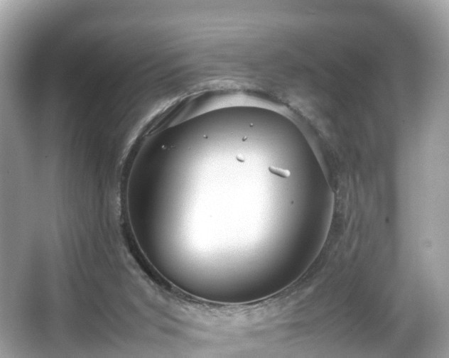 X0000066100015200603131242