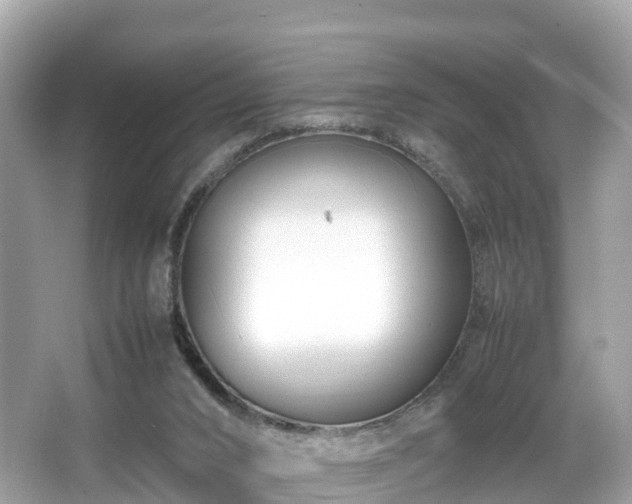 X0000066100016200603131242