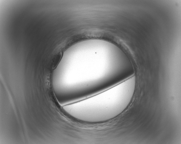 X0000066100017200603131242