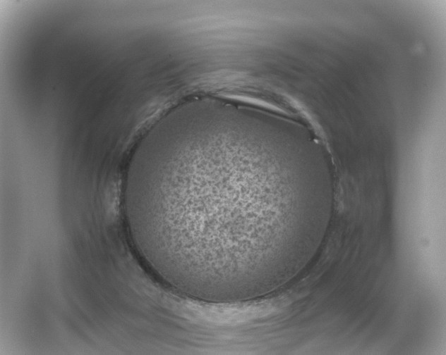 X0000066100018200603131242