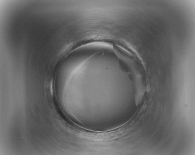 X0000066100019200603131242